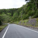 DSC00664
