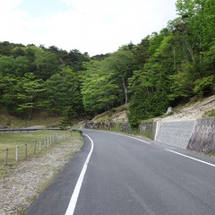 DSC00668