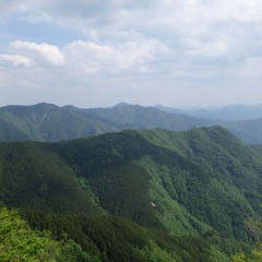 DSC00690