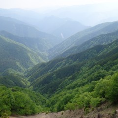 DSC00698