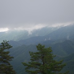 DSC00713