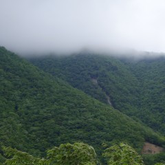 DSC00734