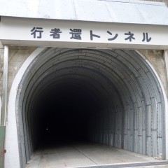 DSC00736