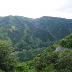 DSC00743