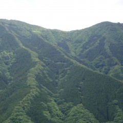 DSC00744