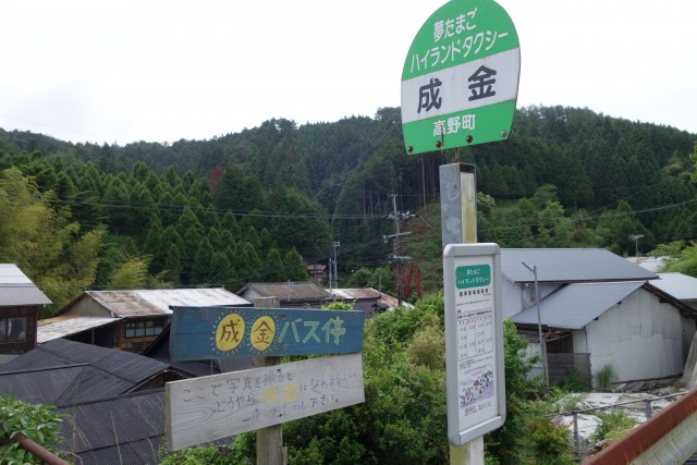 DSC00791