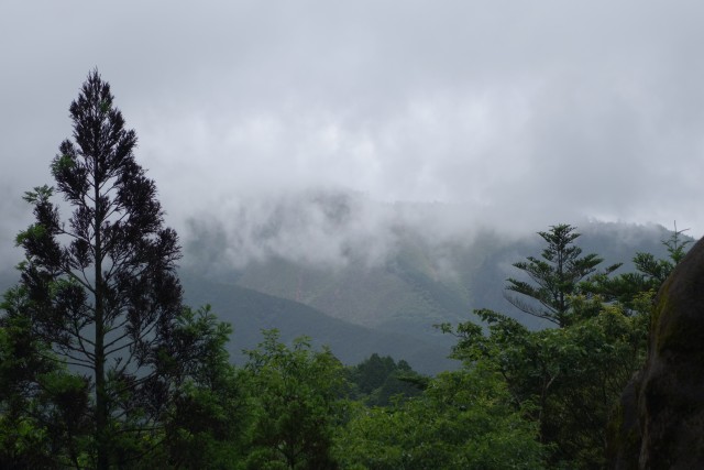 DSC00809