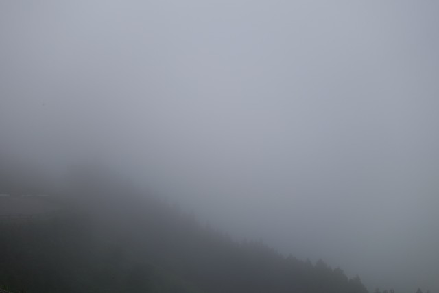 DSC00816