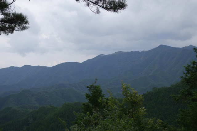 DSC00890