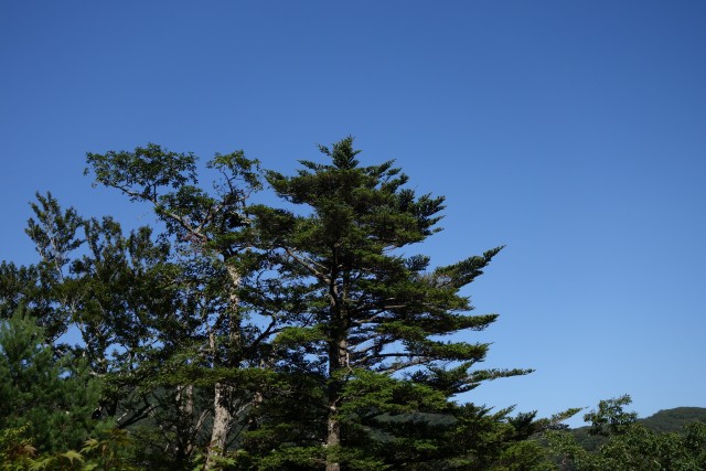DSC00921