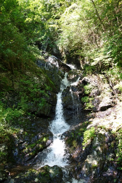 DSC00926