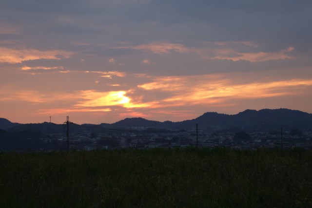 DSC00975