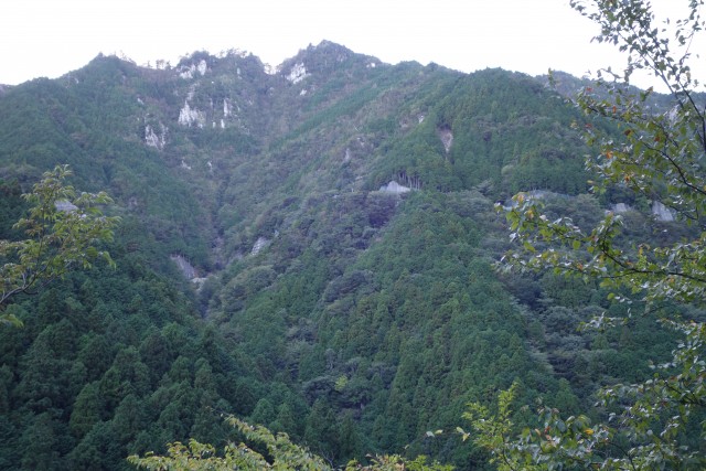 DSC01061