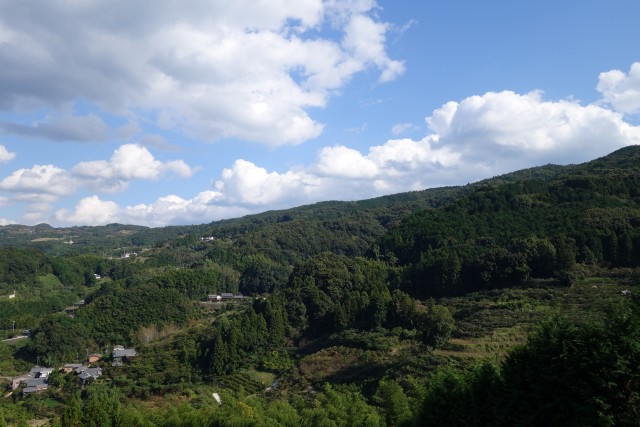 DSC01102