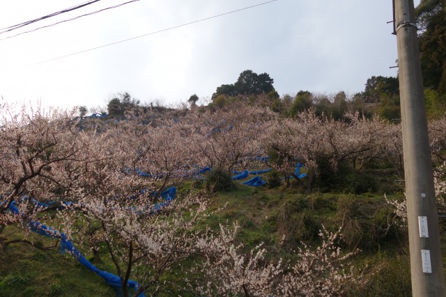 DSC01791
