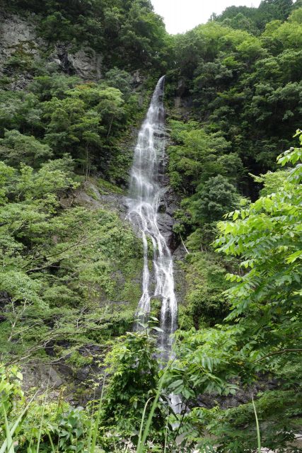 DSC02170