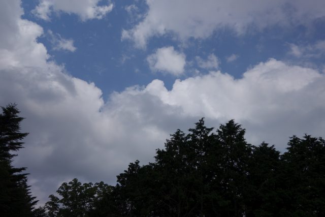 DSC02438