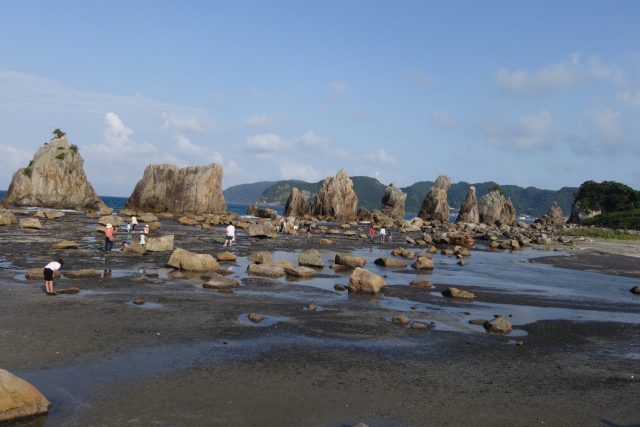 DSC02545