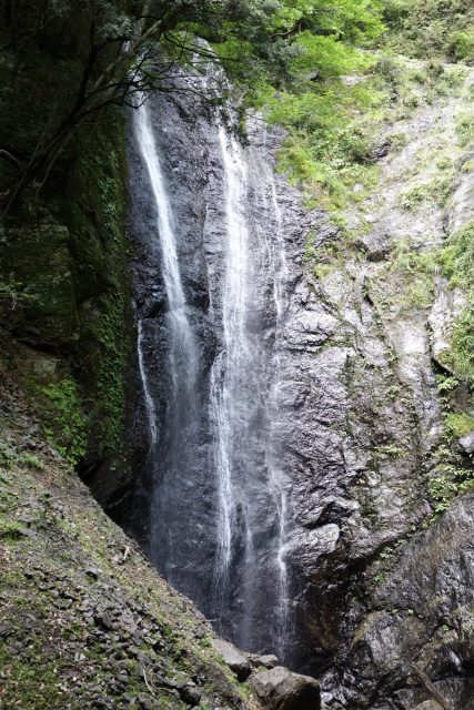 DSC02598
