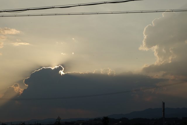 DSC02607