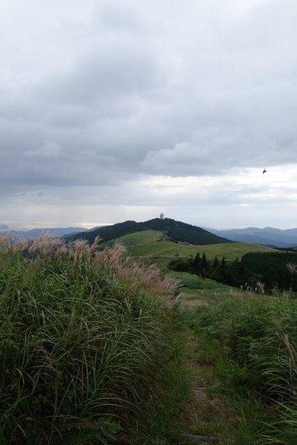 DSC02651